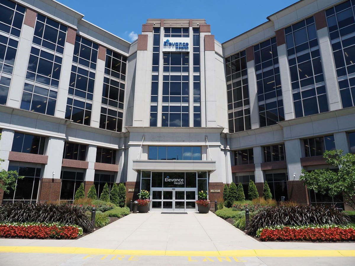 Elevance Health 2024 earnings hit $6 billion despite rising costs